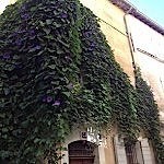 img_4359