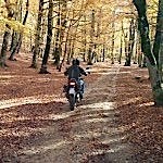 IMG-20141109-WA0013