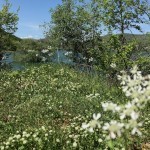 Lago del Turano: vista dalla radura