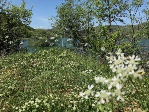 Lago del Turano: vista dalla radura